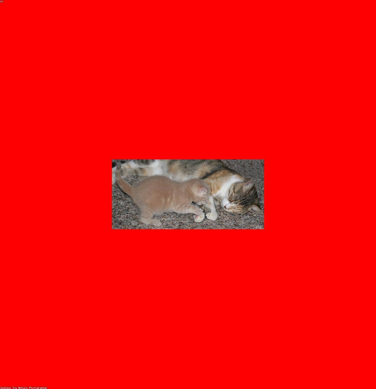Unauth title VJuLppyP